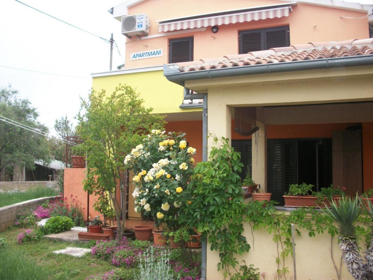 Apartments Mirjana Petrcane Exteriér fotografie