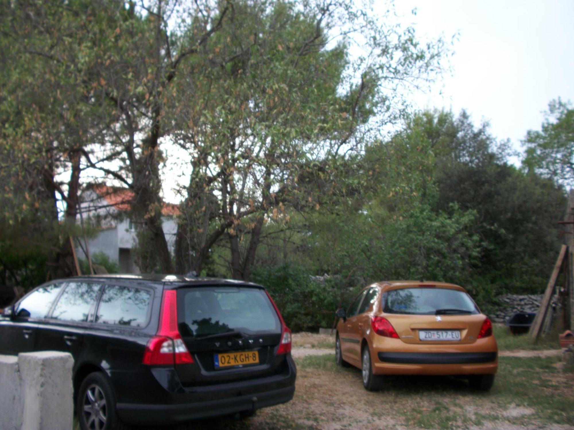 Apartments Mirjana Petrcane Exteriér fotografie