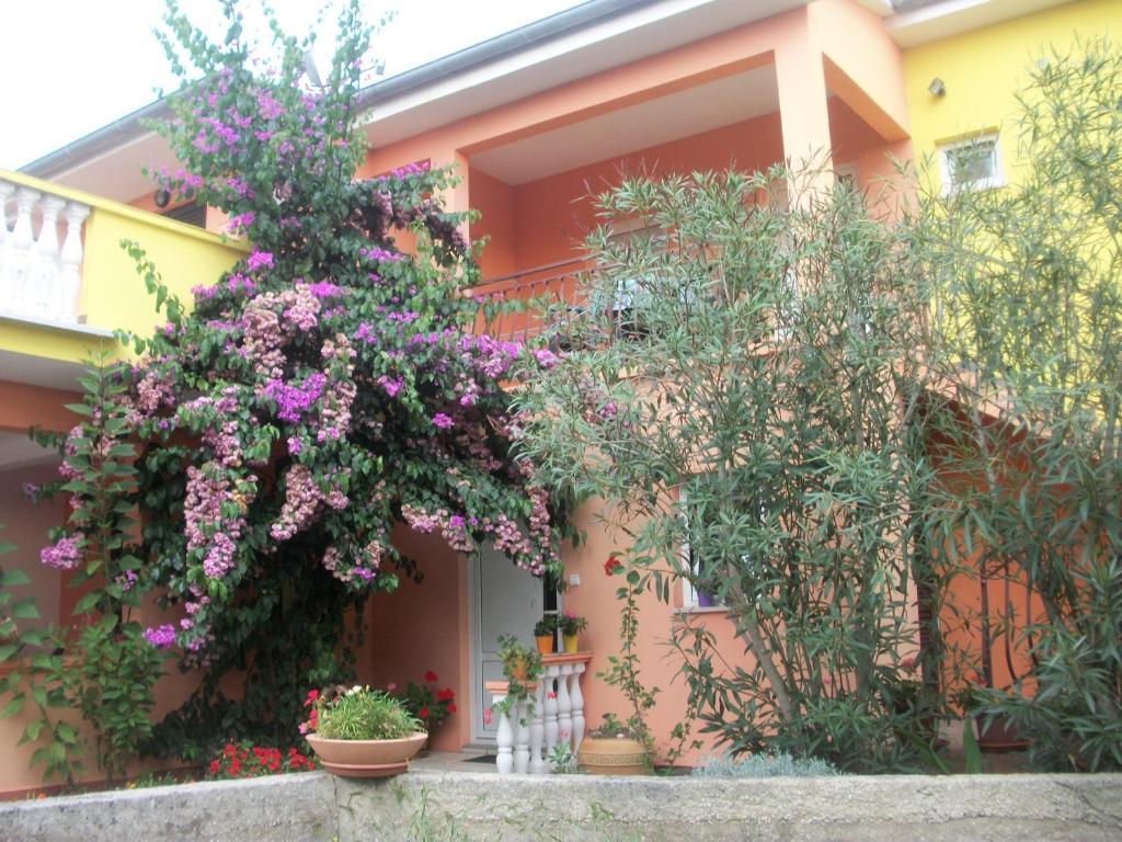 Apartments Mirjana Petrcane Exteriér fotografie