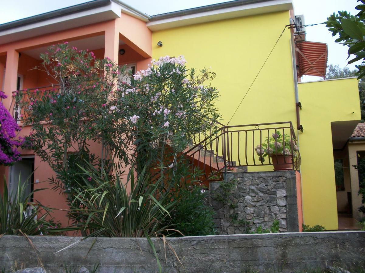 Apartments Mirjana Petrcane Exteriér fotografie