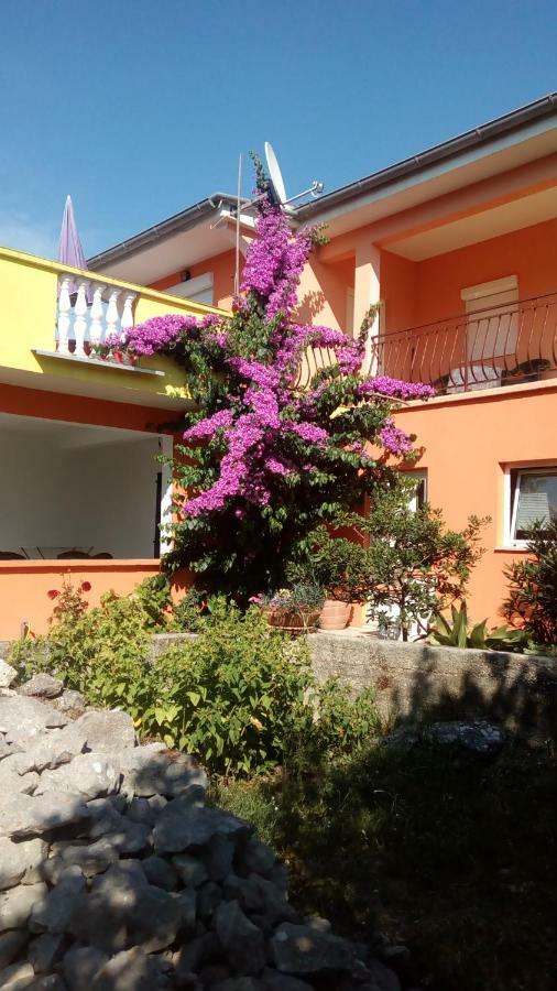 Apartments Mirjana Petrcane Exteriér fotografie